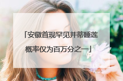 安徽首现罕见并蒂睡莲 概率仅为百万分之一